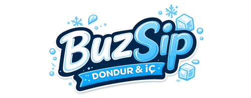 Buz Şip